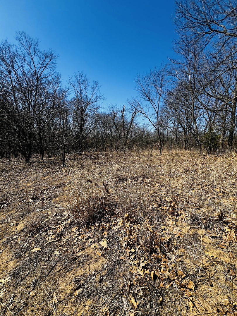 5266 S 12750e Road, Pembroke Twp, IL 60958