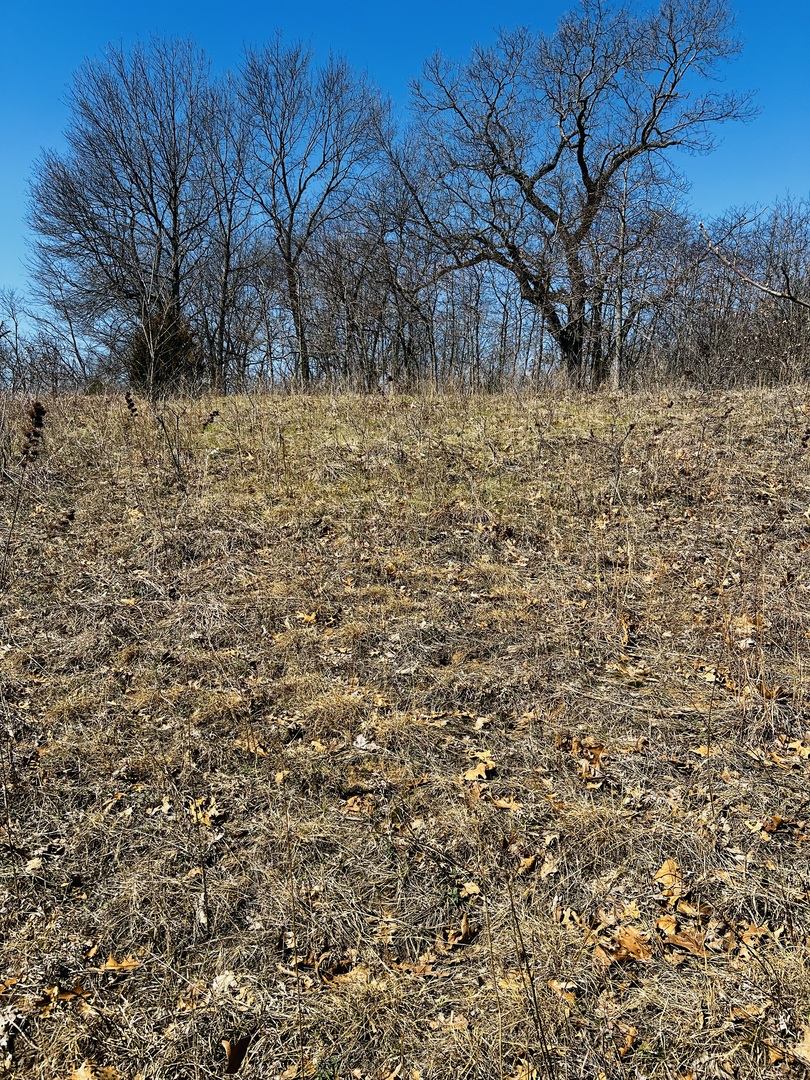 5266 S 12750e Road, Pembroke Twp, IL 60958