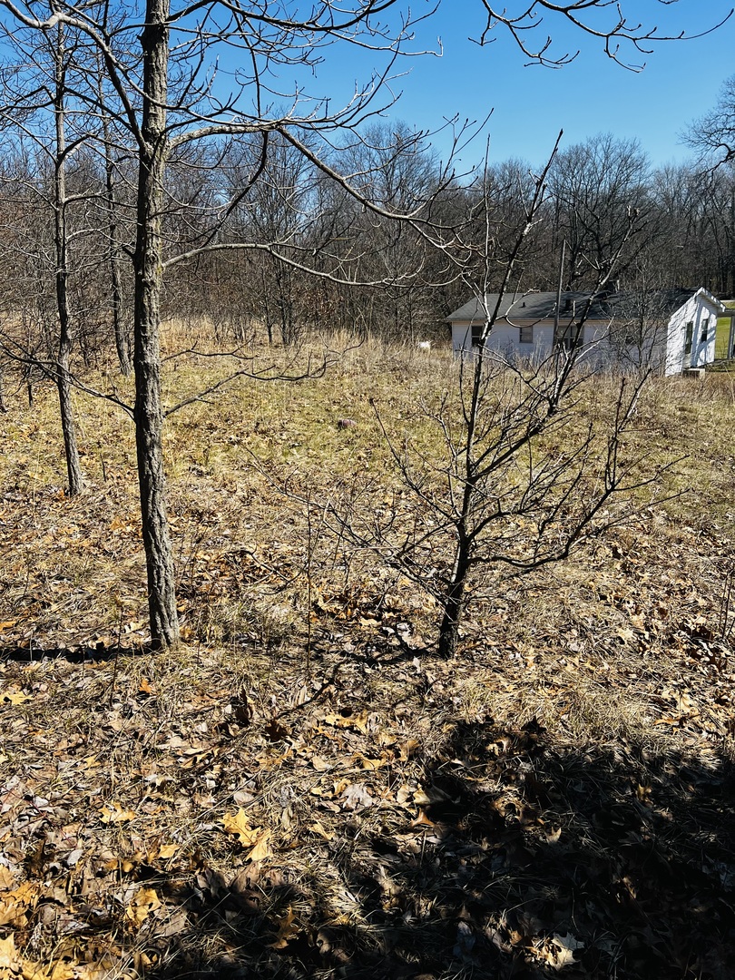 5266 S 12750e Road, Pembroke Twp, IL 60958