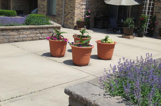 1620 Waxwing Court, Schaumburg, IL 60173