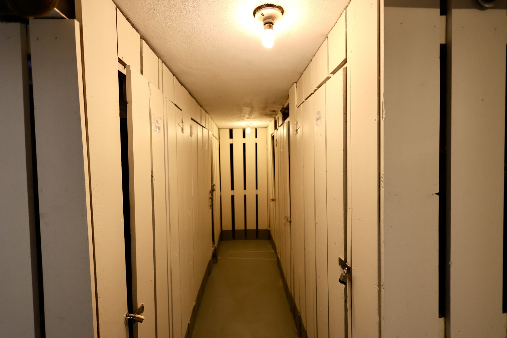 10111 Old Orchard Court #201, Skokie, IL 60076