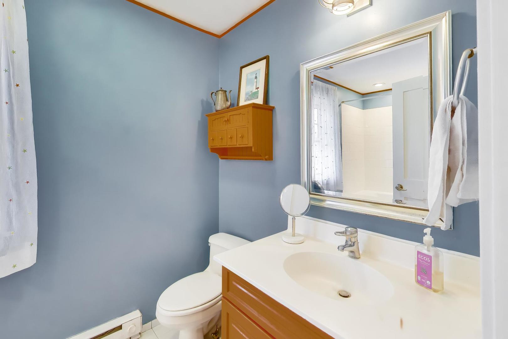 202 N Chester Avenue, Park Ridge, IL 60068