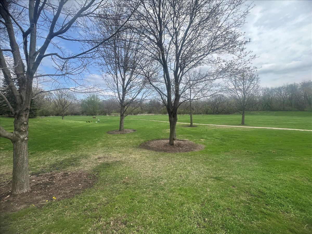 1221 Whirlaway Avenue, Naperville, IL 60540