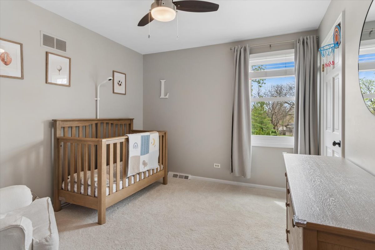 1221 Whirlaway Avenue, Naperville, IL 60540