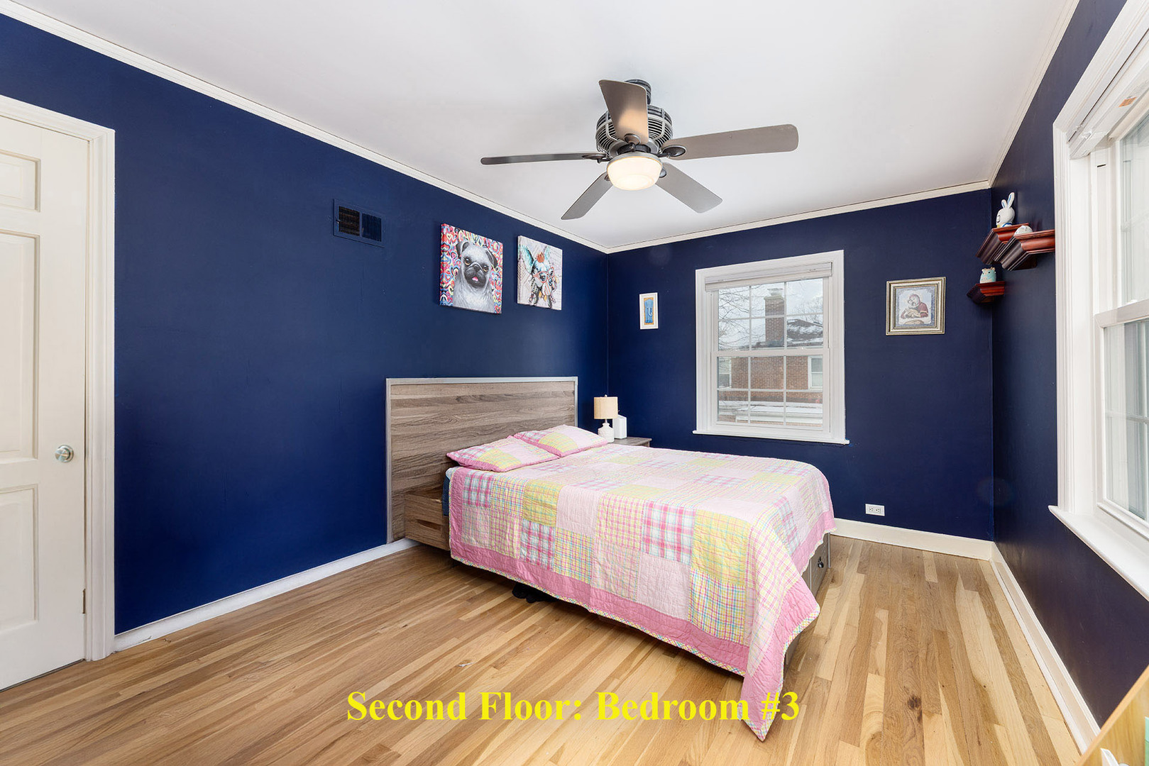 259 Cornell Avenue, Des Plaines, IL 60016