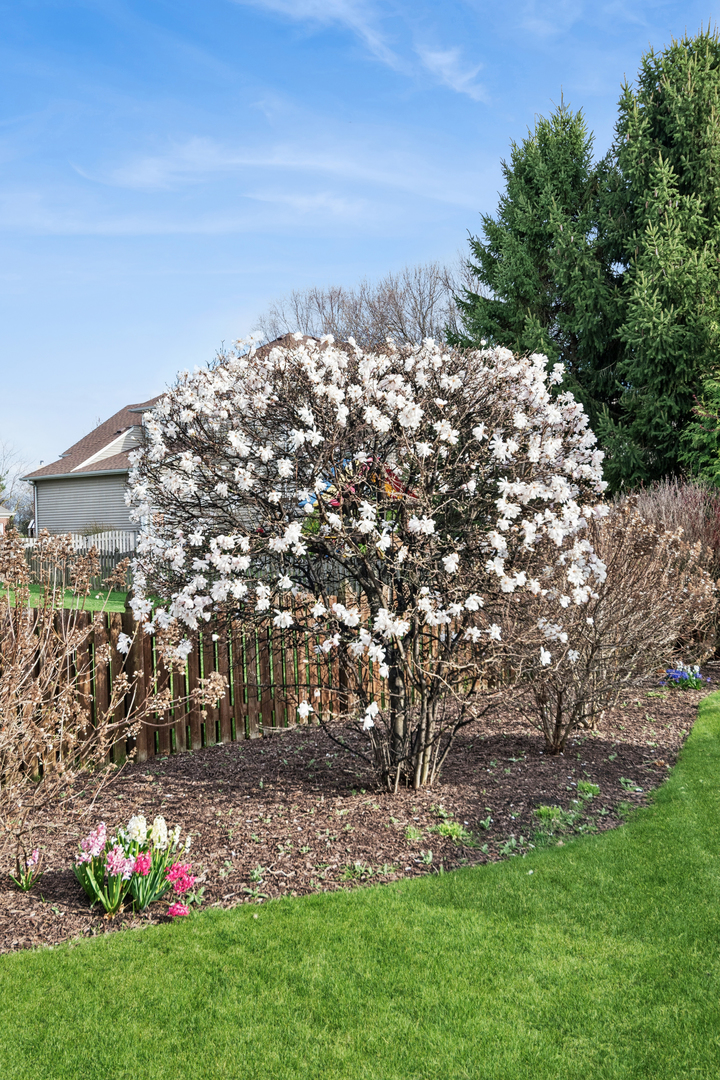 12929 Alpine Way, Plainfield, IL 60585