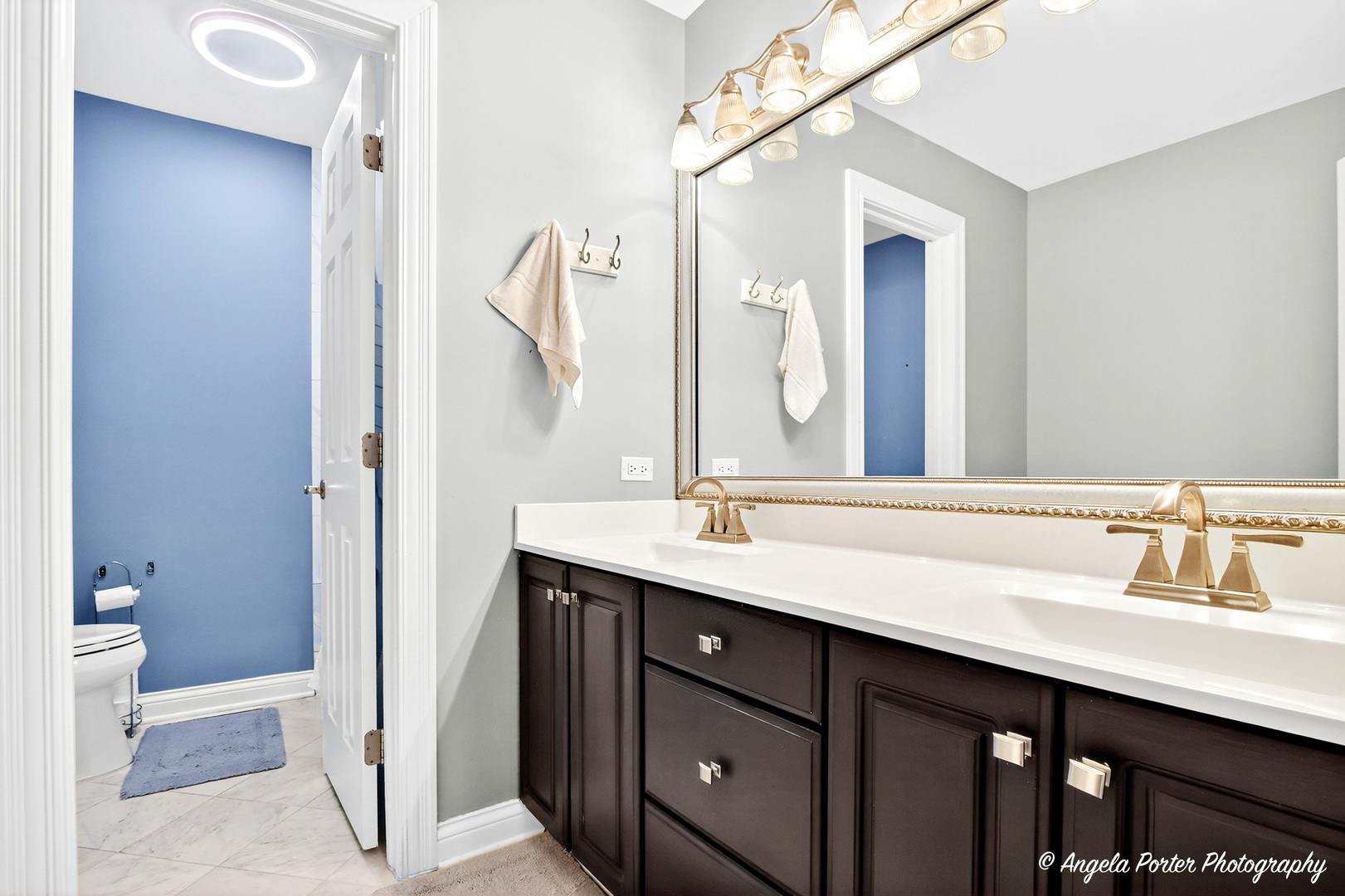 701 Caitlin Court, Grayslake, IL 60030