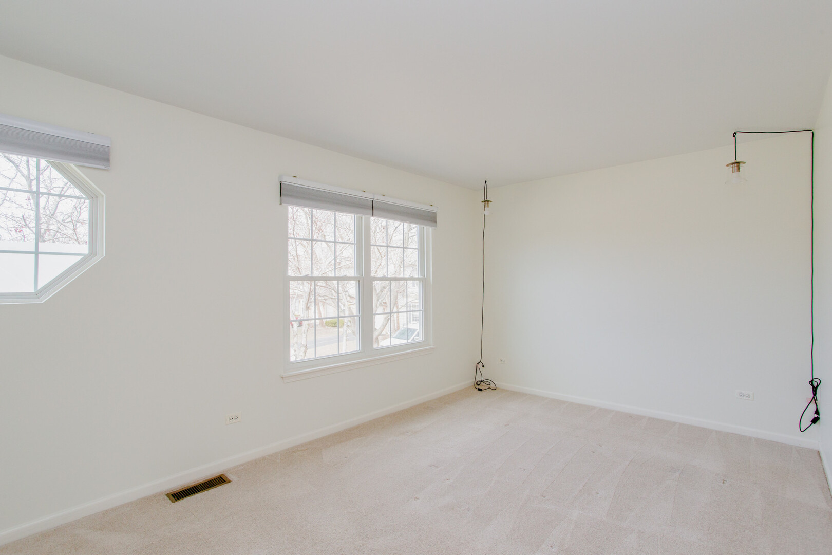 1217 N Village Drive, Round Lake Beach, IL 60073