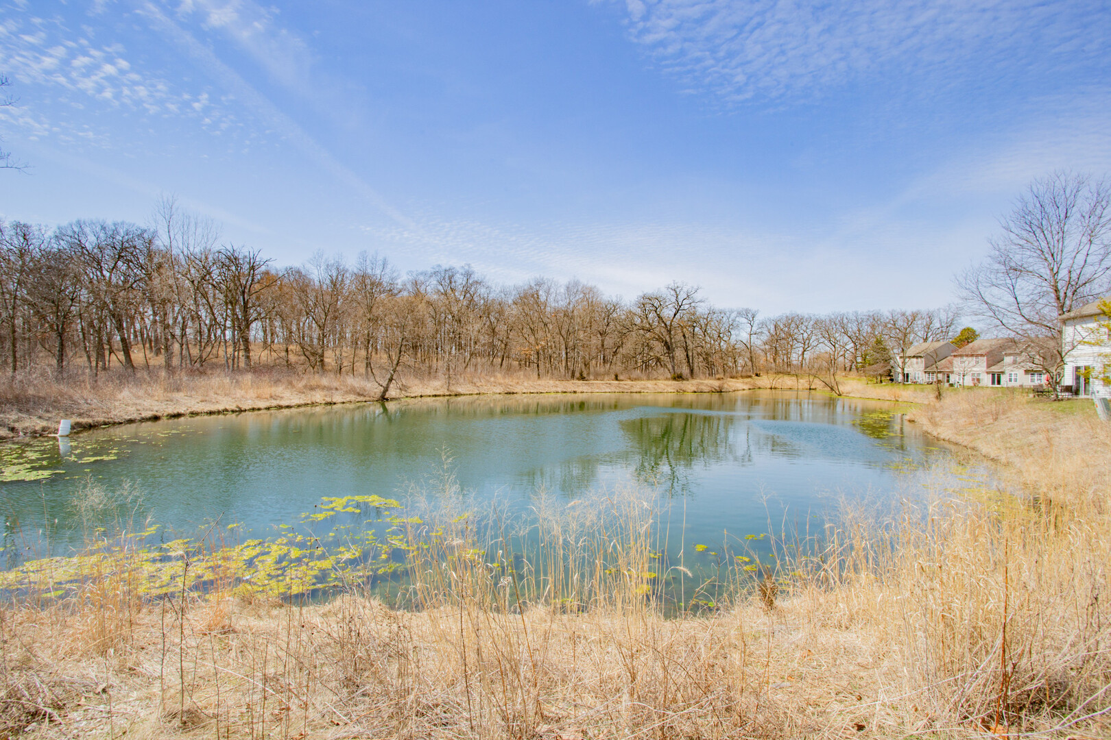 1217 N Village Drive, Round Lake Beach, IL 60073