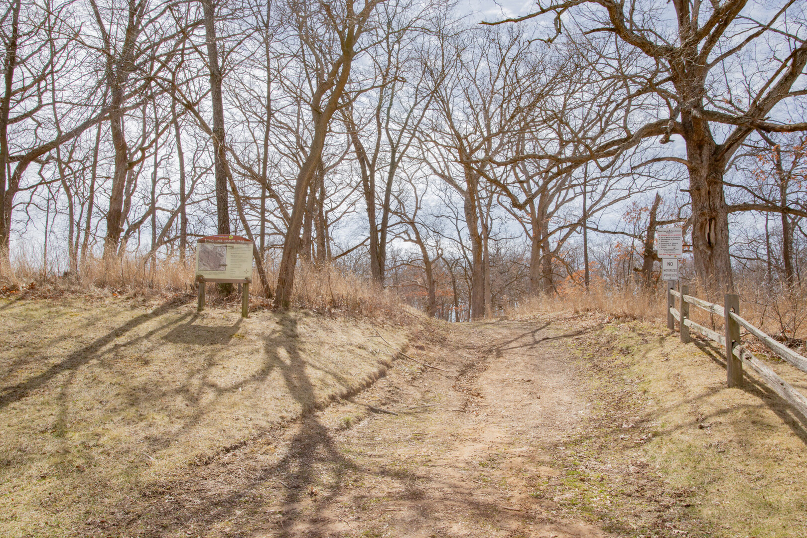 1217 N Village Drive, Round Lake Beach, IL 60073