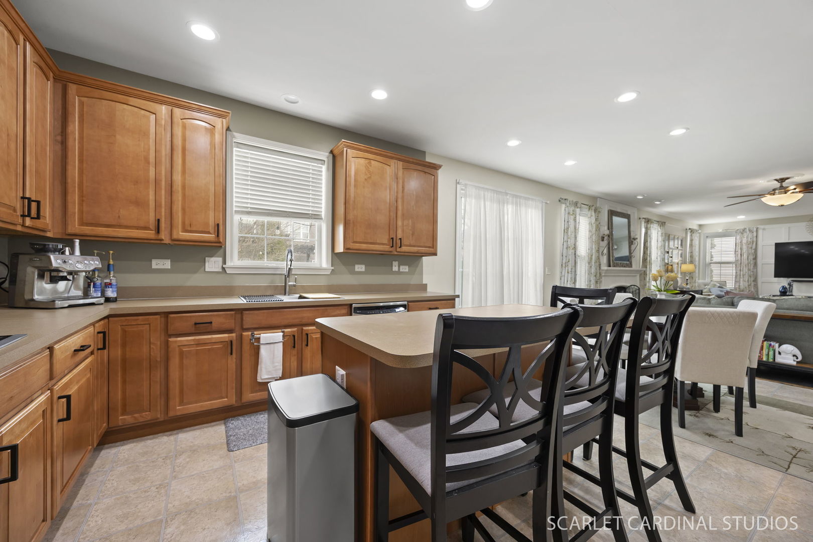 253 Bluegrass Parkway, Oswego, IL 60543