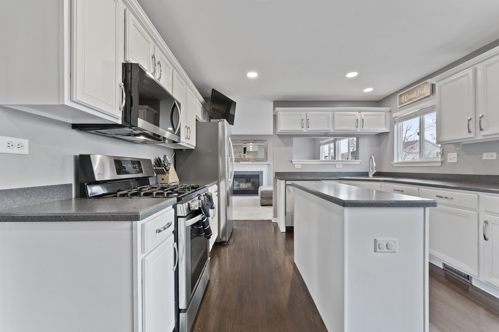 1438 S Amarias Drive, Round Lake, IL 60073