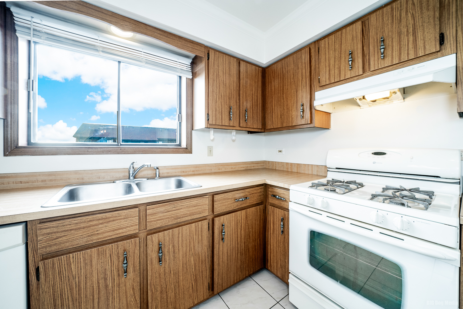 15712 PEGGY Lane #6, Oak Forest, IL 60452