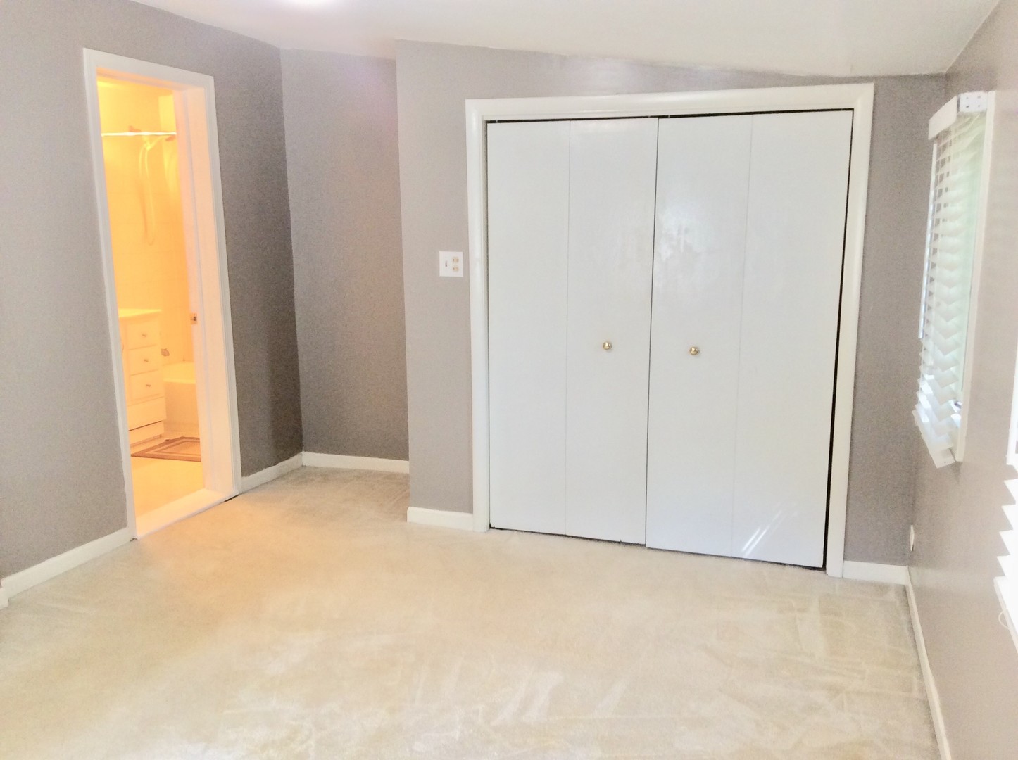 133 N Woodlawn Street, Wheaton, IL 60187