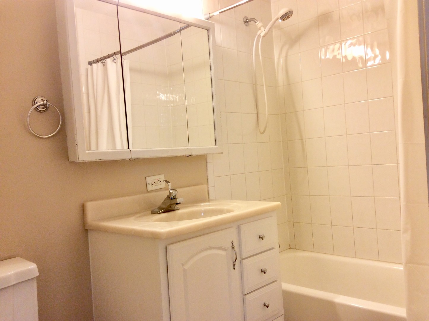 133 N Woodlawn Street, Wheaton, IL 60187