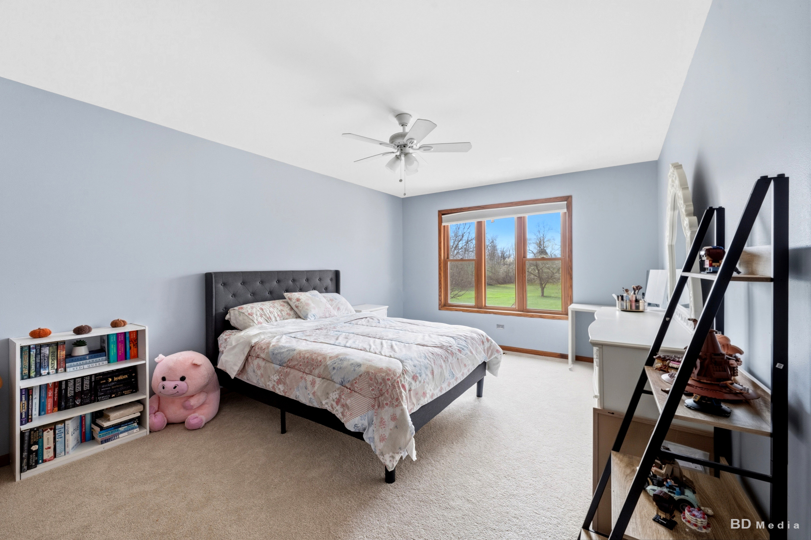 91 Pleasant Hill Court, Frankfort, IL 60423