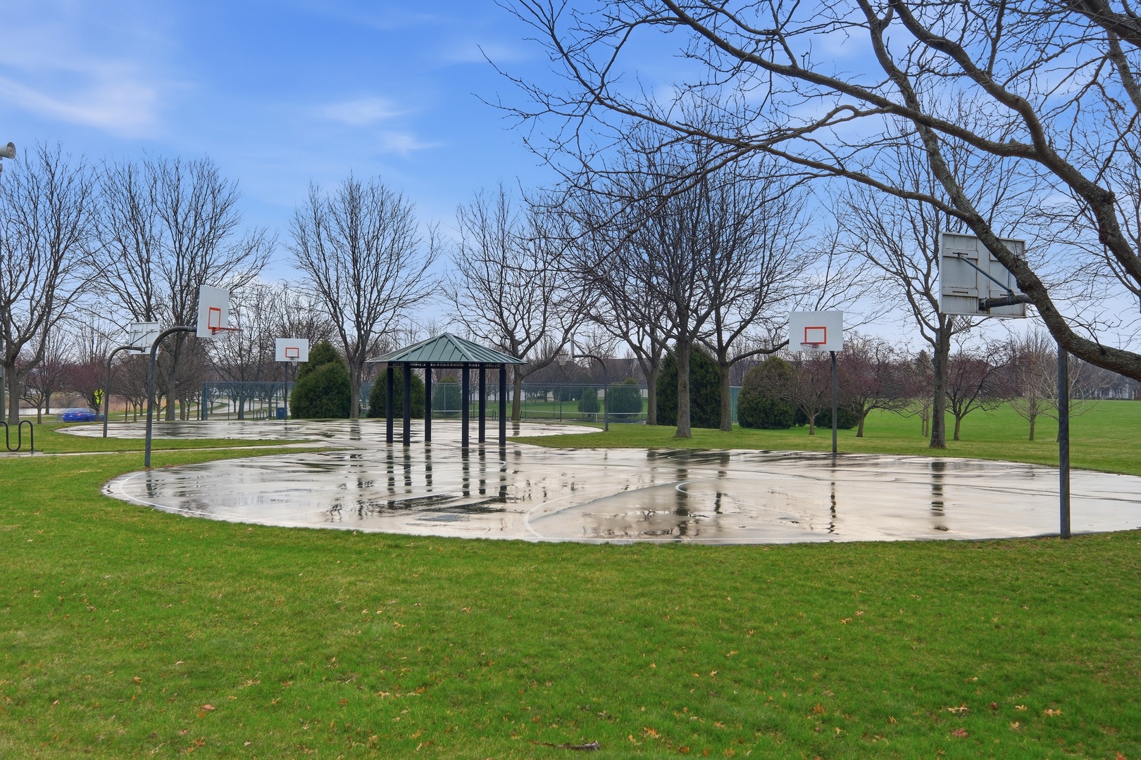 3837 Currant Lane, Elgin, IL 60124