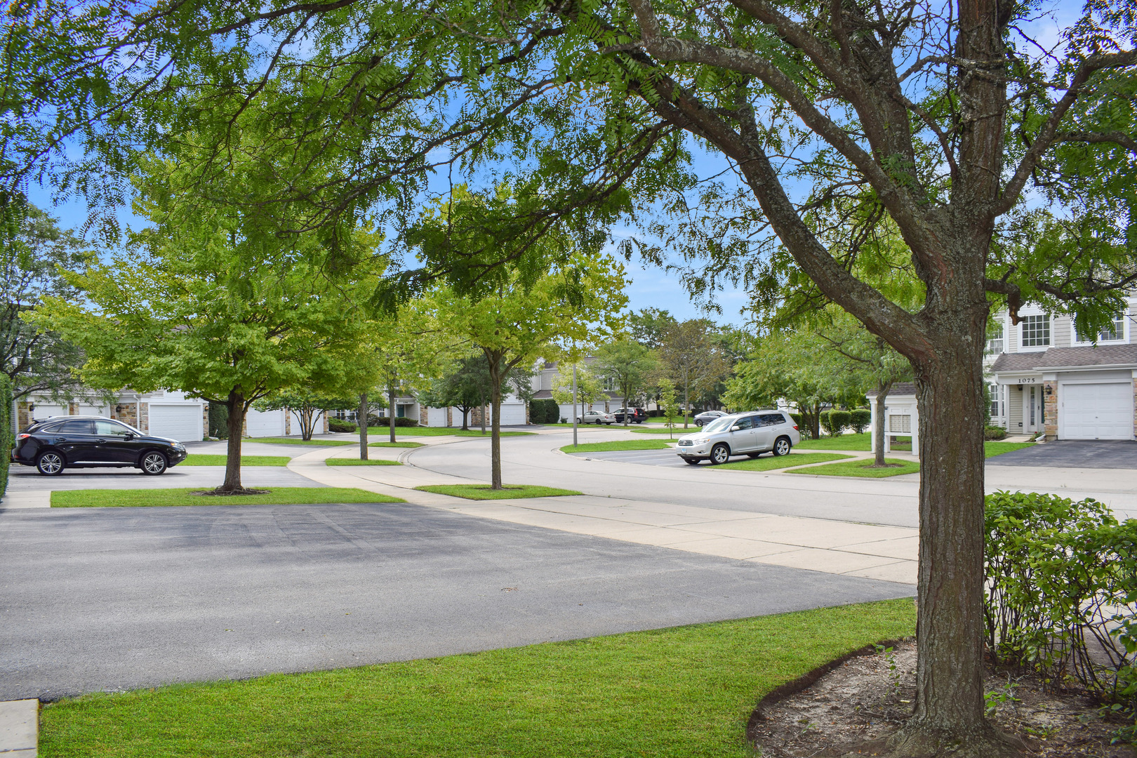 1060 PROVIDENCE Lane, Buffalo Grove, IL 60089