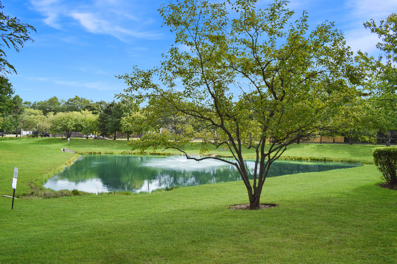 1060 PROVIDENCE Lane, Buffalo Grove, IL 60089