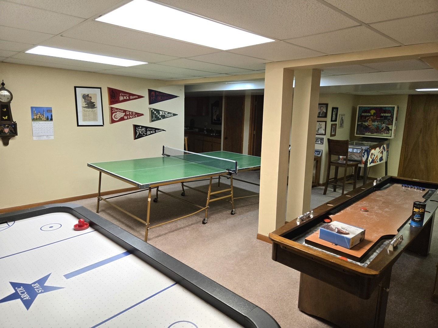 8217 Pine Bluff Court, Darien, IL 60561