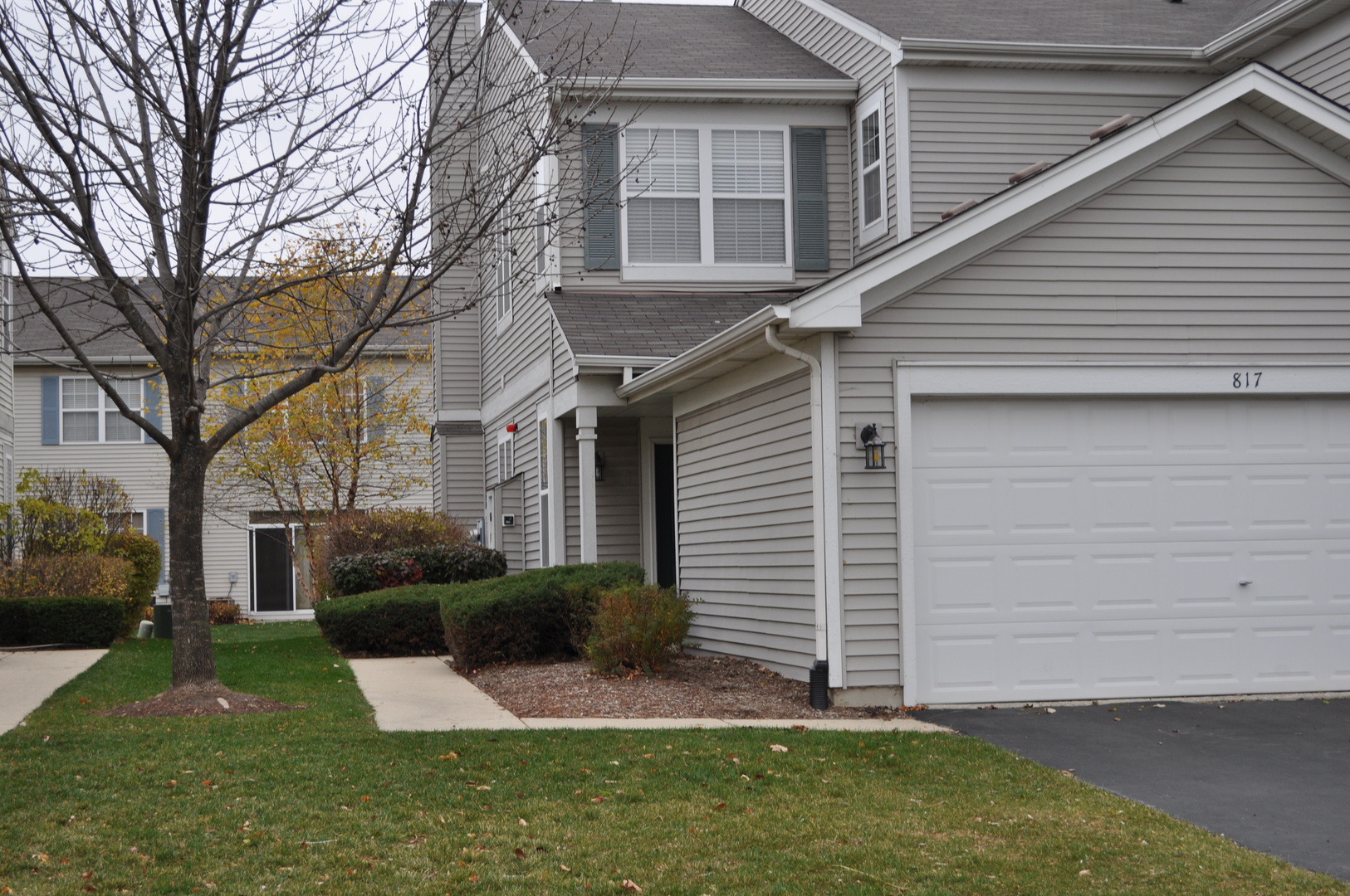 819 Genesee Drive, Naperville, IL 60563