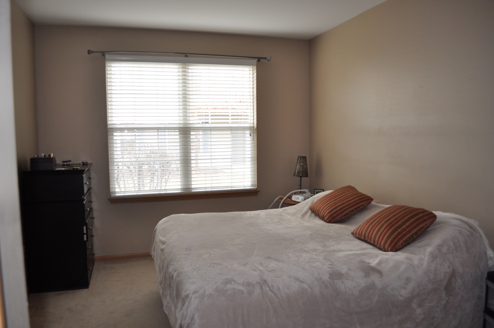 819 Genesee Drive, Naperville, IL 60563