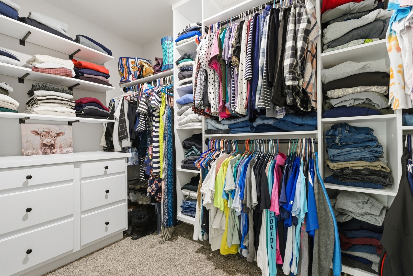 25400 W Cerena Circle, Plainfield, IL 60586