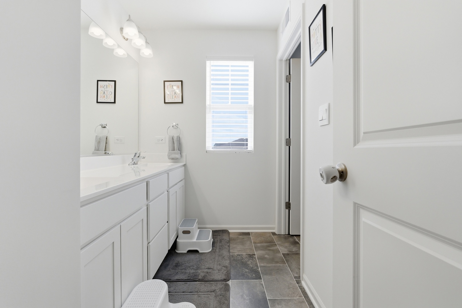 25400 W Cerena Circle, Plainfield, IL 60586