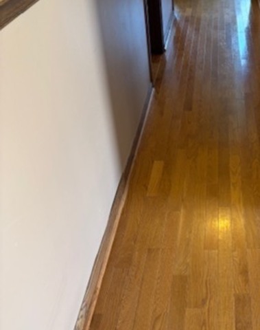 332 El Paso Lane, Carol Stream, IL 60188