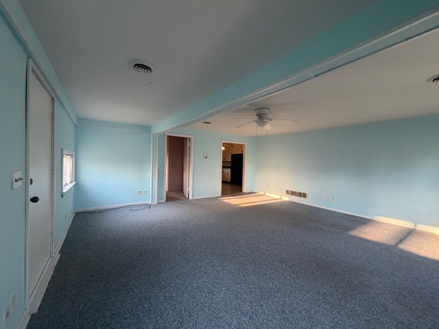 118 S Bloomington Street, Dewitt, IL 61735