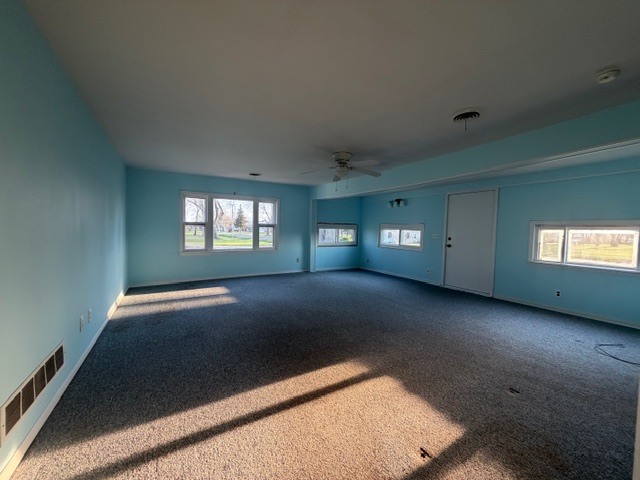 118 S Bloomington Street, Dewitt, IL 61735