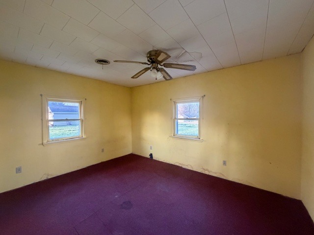 118 S Bloomington Street, Dewitt, IL 61735