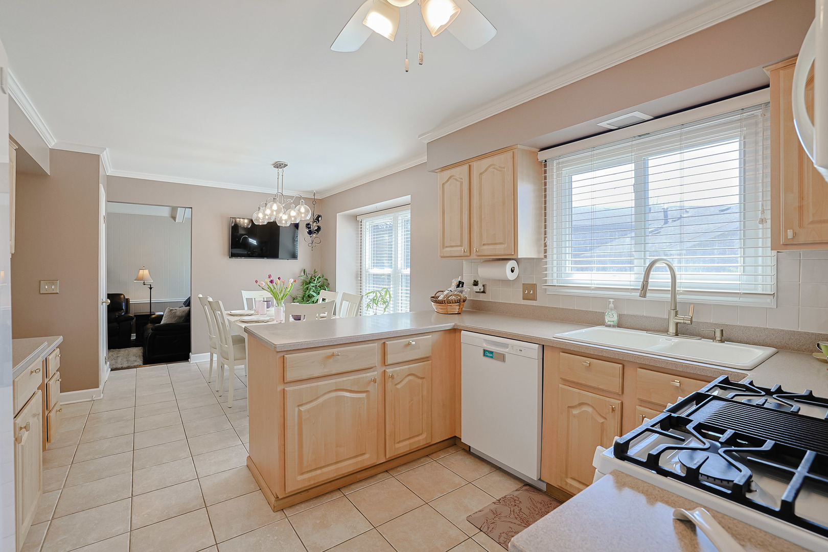 229 Tudor Lane, Schaumburg, IL 60193