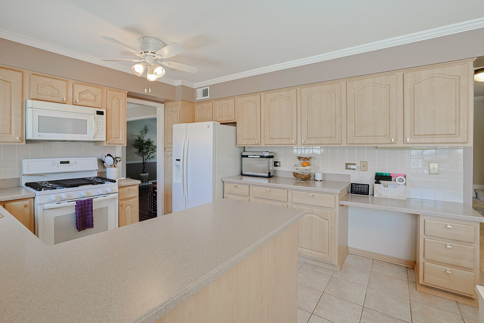 229 Tudor Lane, Schaumburg, IL 60193