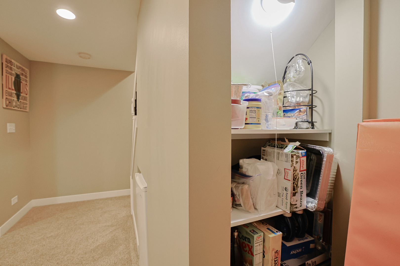 229 Tudor Lane, Schaumburg, IL 60193