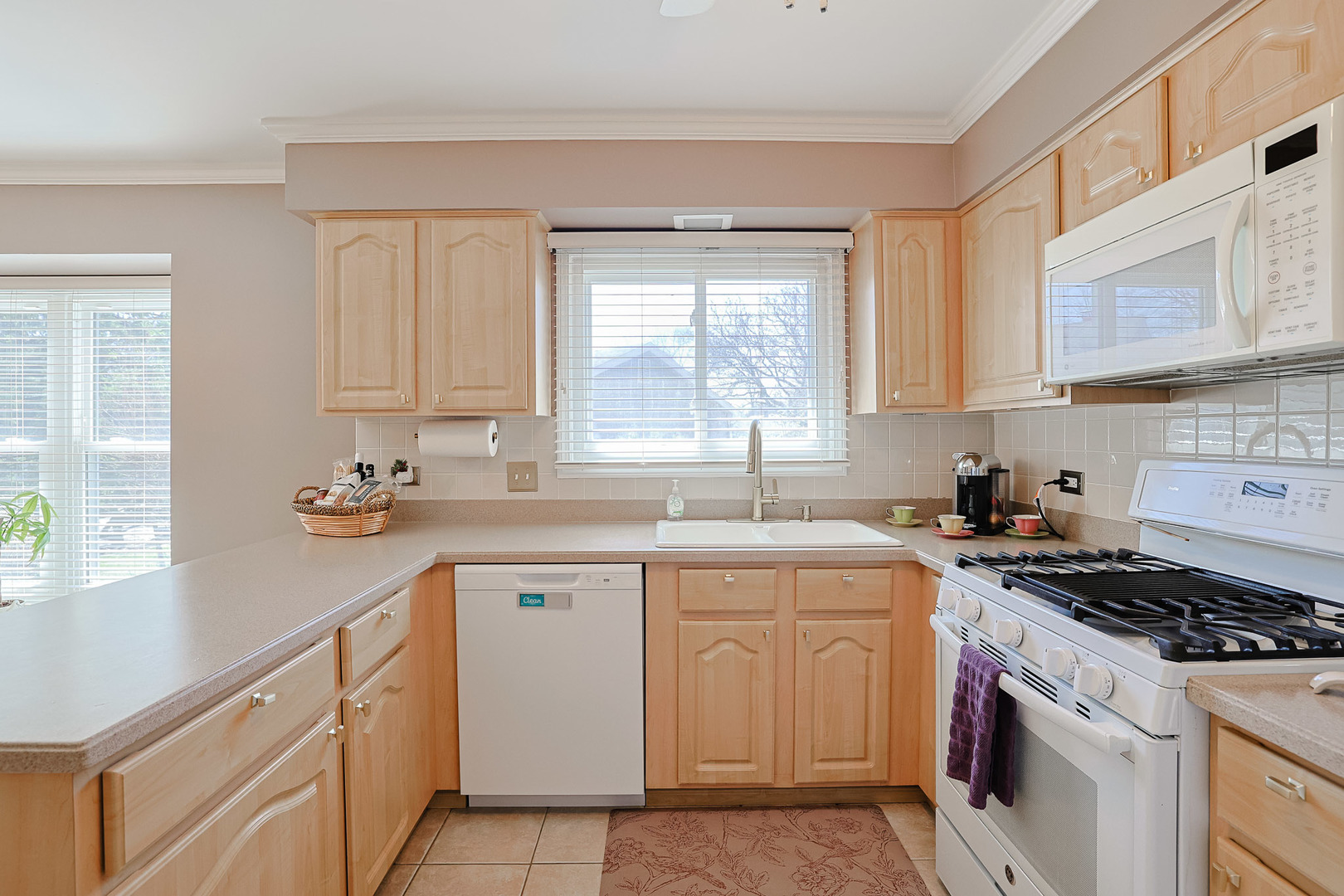 229 Tudor Lane, Schaumburg, IL 60193