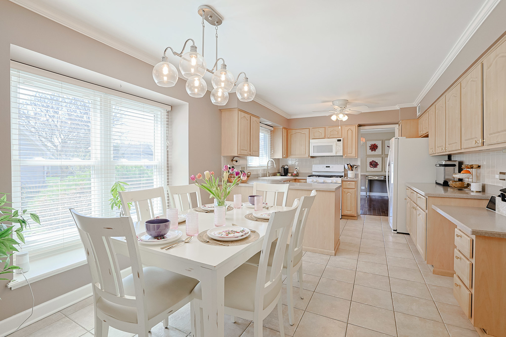 229 Tudor Lane, Schaumburg, IL 60193