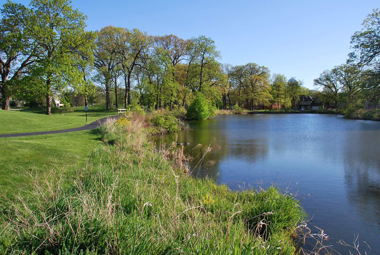 2260 Abbeywood Drive #F, Lisle, IL 60532