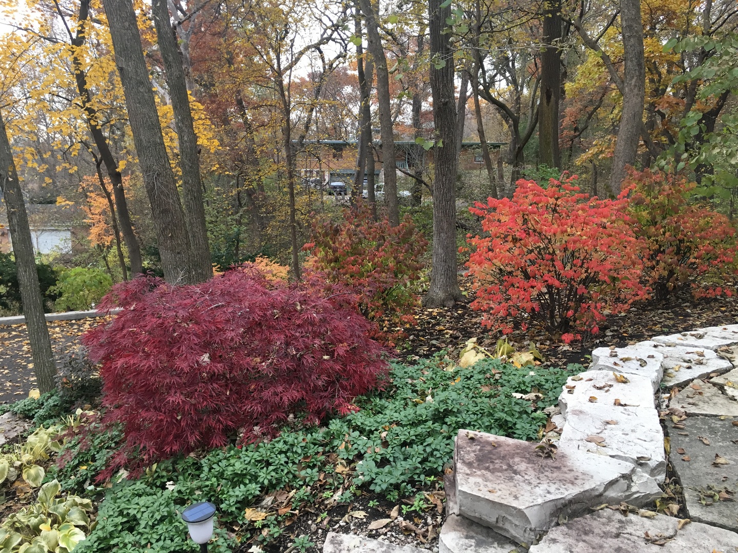 501 Glenwood Trail, Elgin, IL 60120