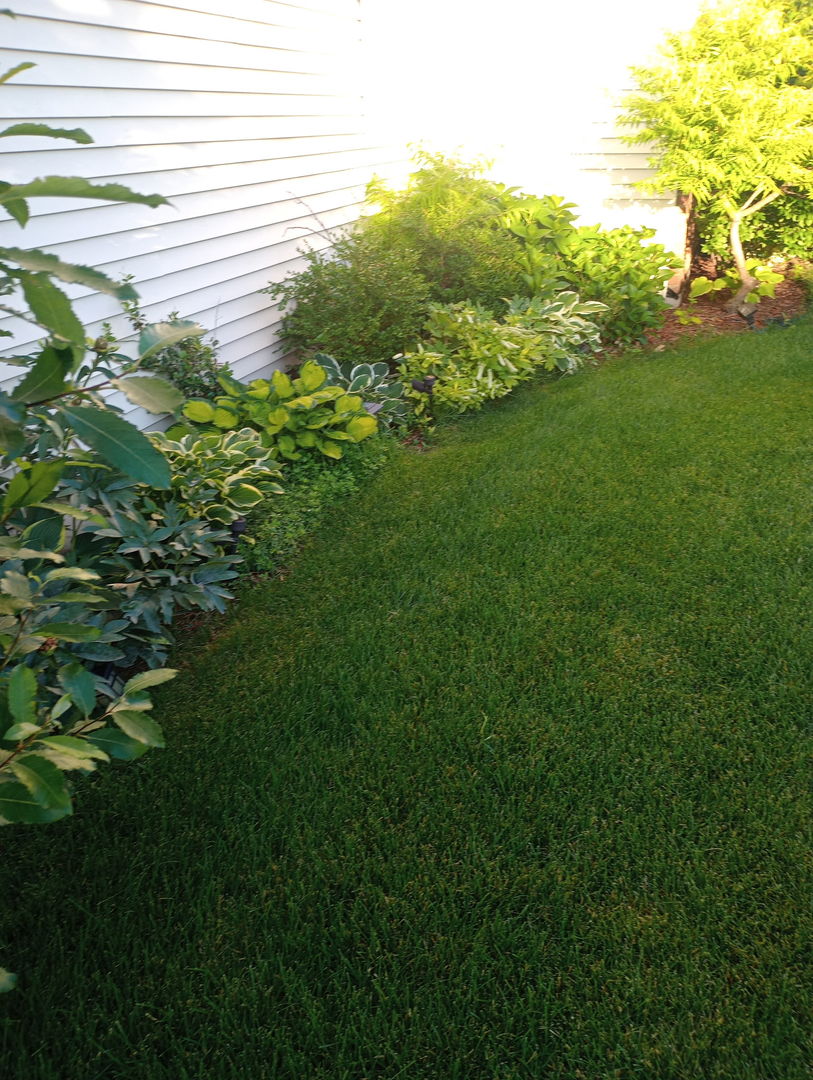 649 Berkley Drive, Romeoville, IL 60446