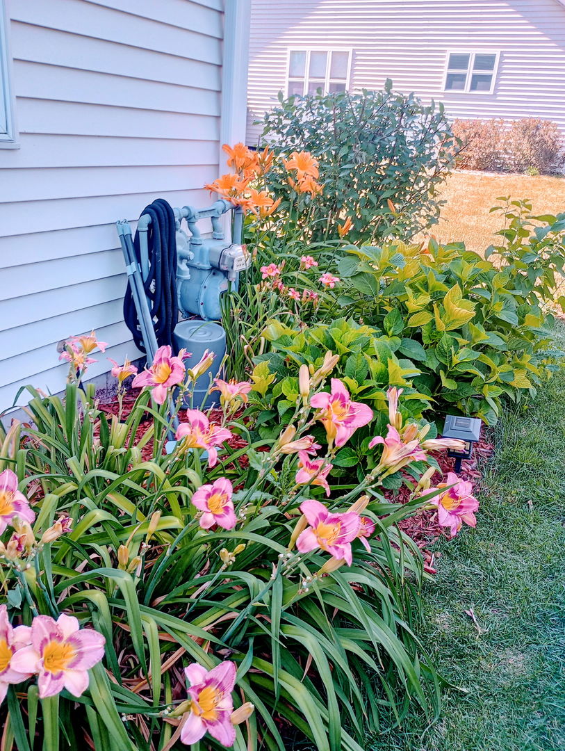 649 Berkley Drive, Romeoville, IL 60446