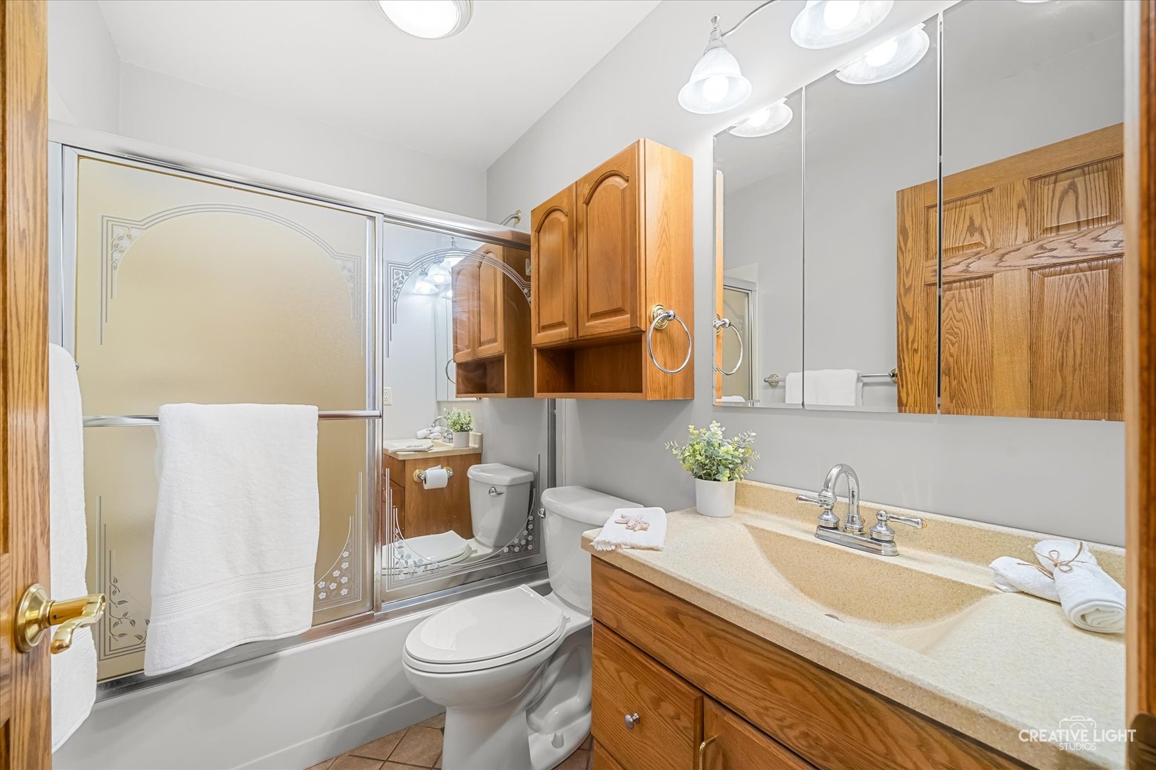 1117 Douglas Avenue, Aurora, IL 60505