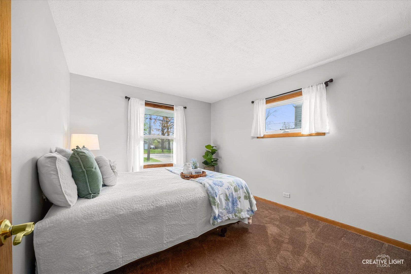 1117 Douglas Avenue, Aurora, IL 60505