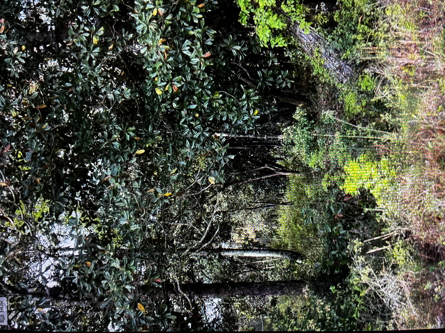 Lot 10 Baldwin Street, Perdido Beach, AL 36530