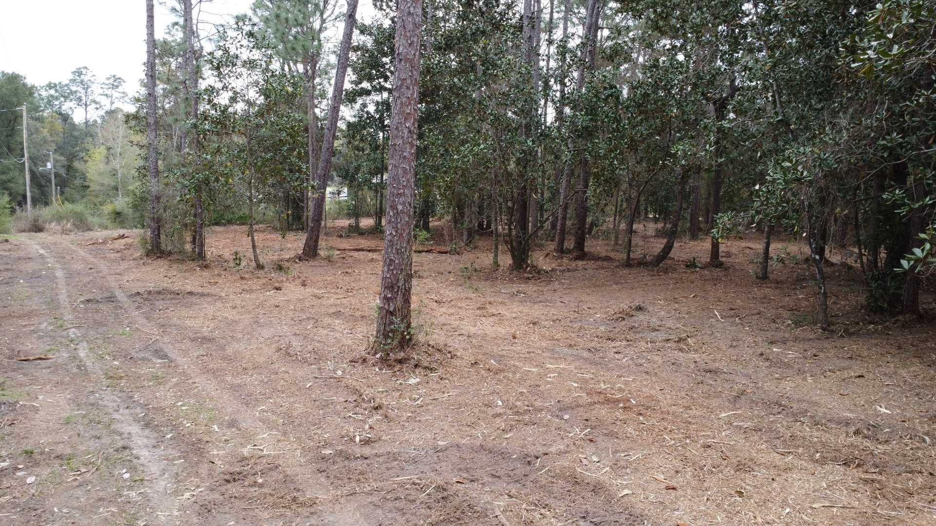 Lot 10 Baldwin Street, Perdido Beach, AL 36530
