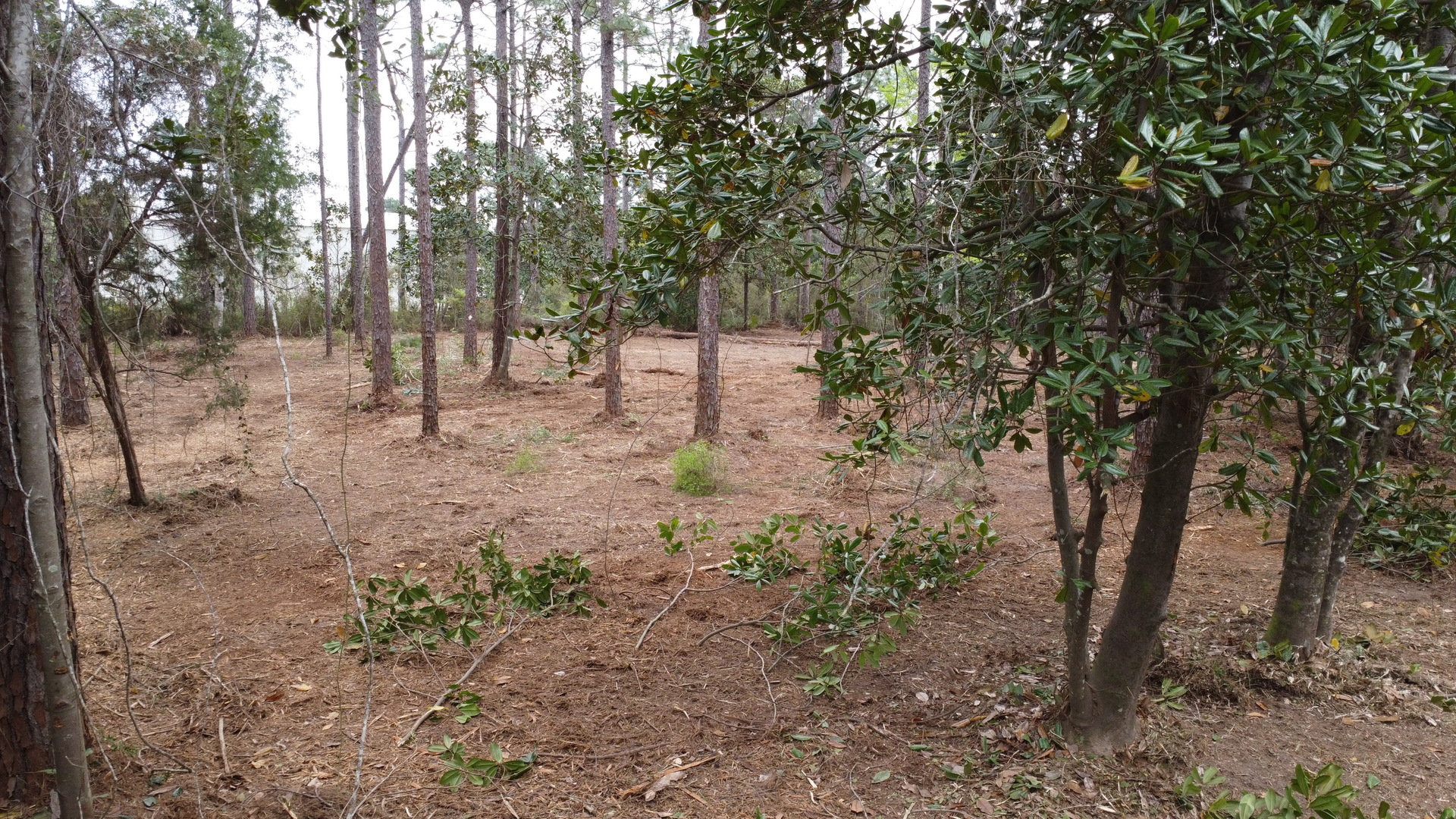 Lot 10 Baldwin Street, Perdido Beach, AL 36530