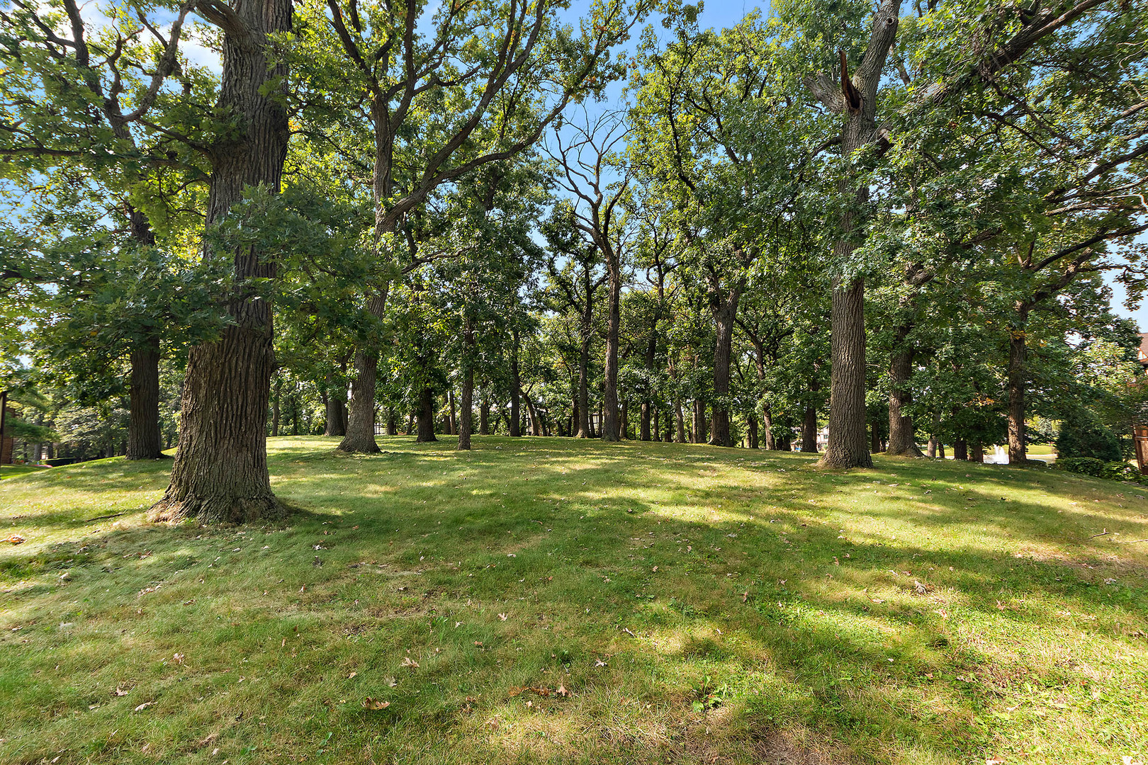 7737 W GOLF Drive #303, Palos Heights, IL 60463