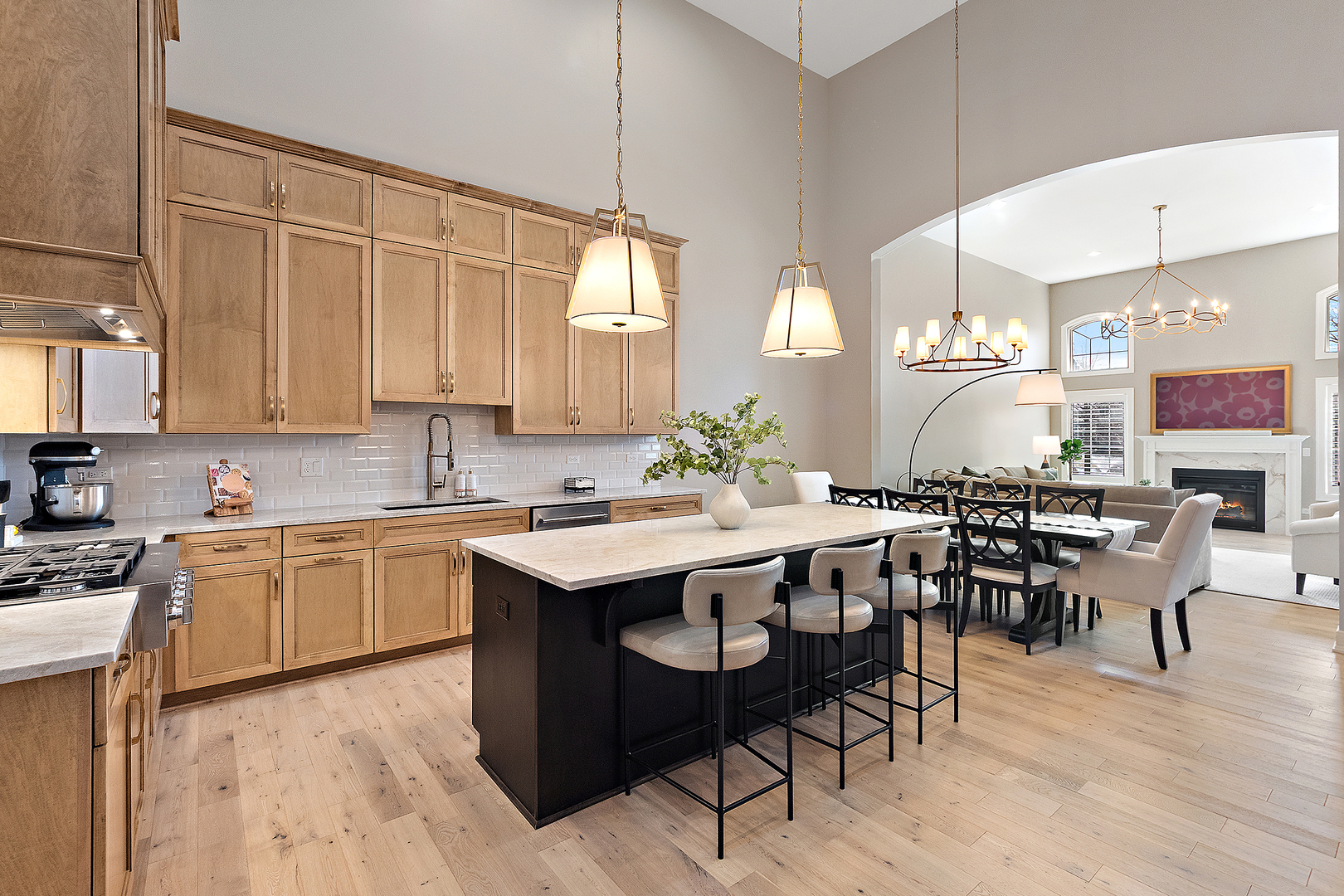 9730 Folkers Drive, Frankfort, IL 60423