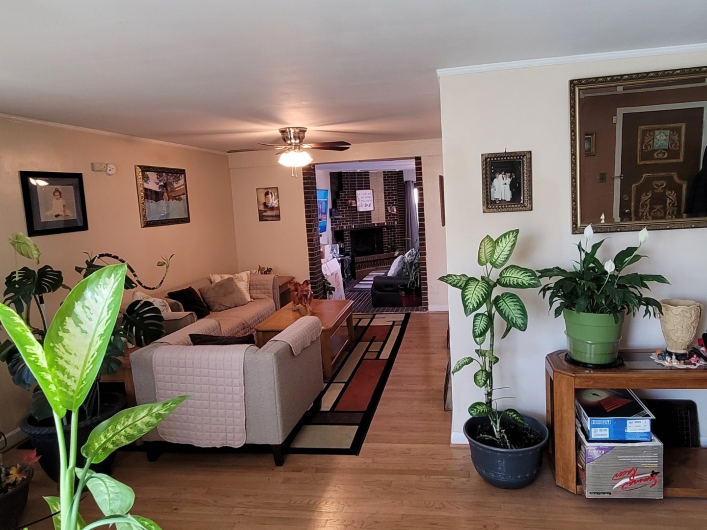 7432 W Gregory Street, Chicago, IL 60656