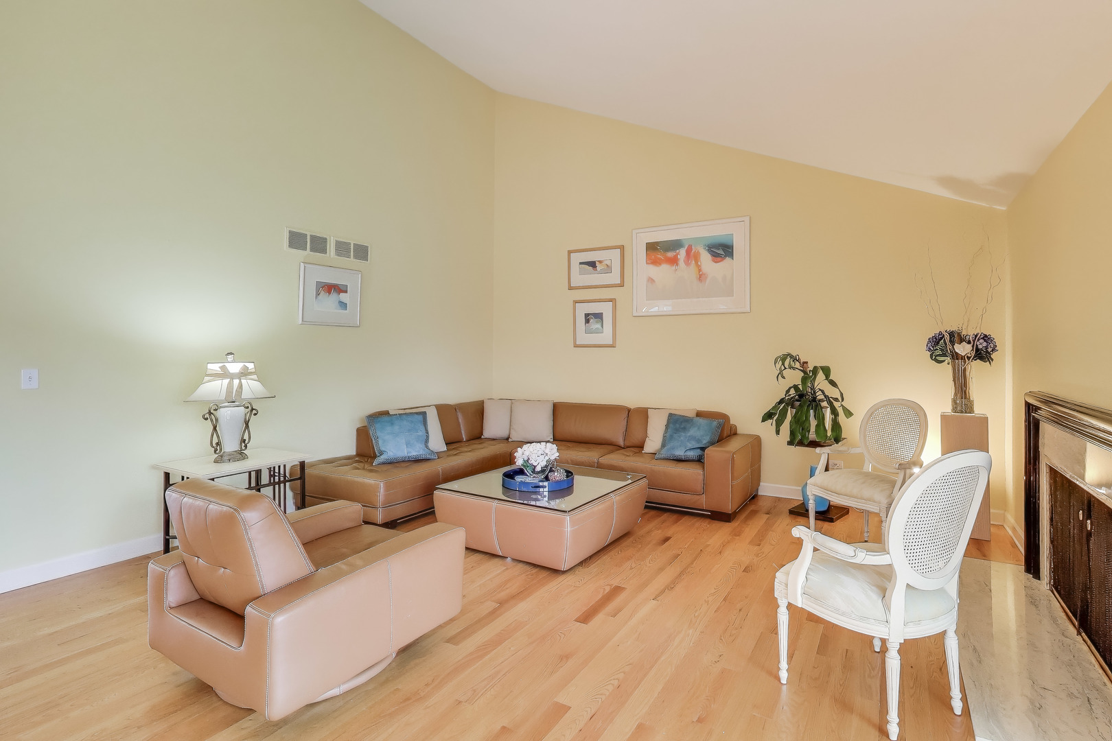 211 Briarwood Pass, Oak Brook, IL 60523